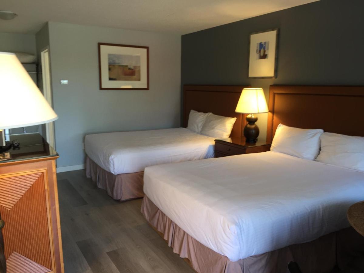 פארקסוויל Vip Motel מראה חיצוני תמונה